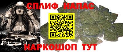 гашик Гагарин