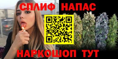 спайс Гатчина