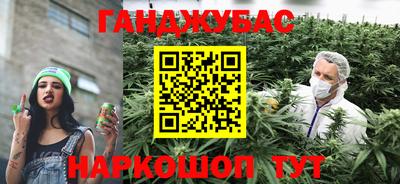 гашик Гагарин
