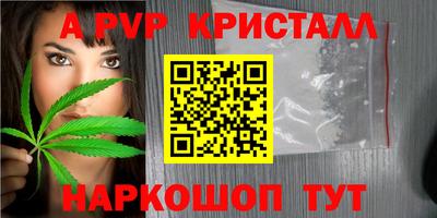 спайс Гатчина