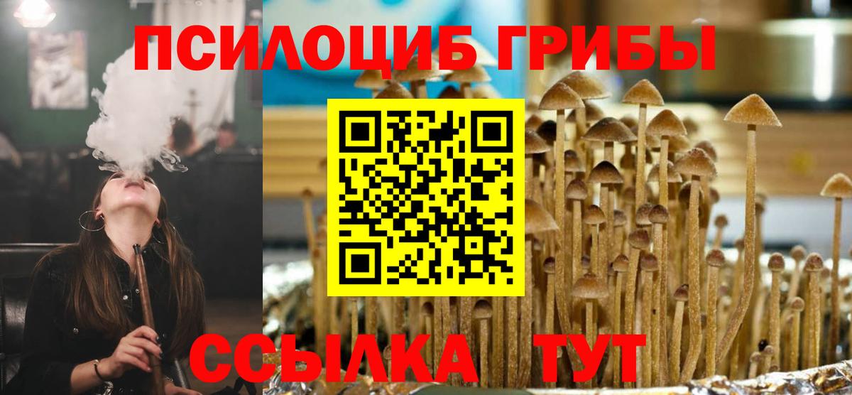 Псилоцибиновые грибы GOLDEN TEACHER Новоалтайск