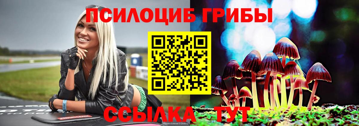 закладка  Вход с VPN  Новоалтайск  Псилоцибиновые грибы Magic Shrooms 